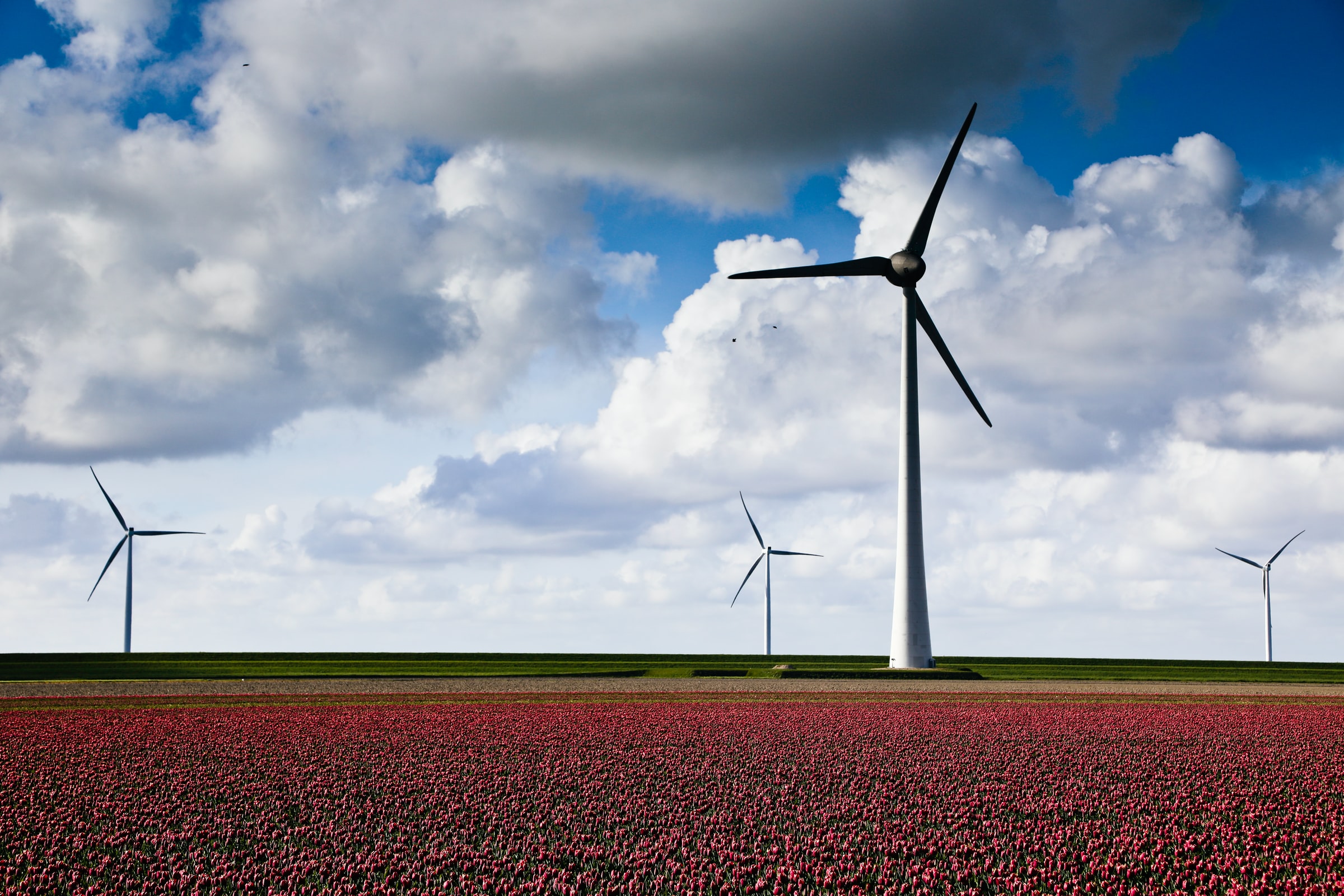 EU to ramp up renewable energy targets for 2030