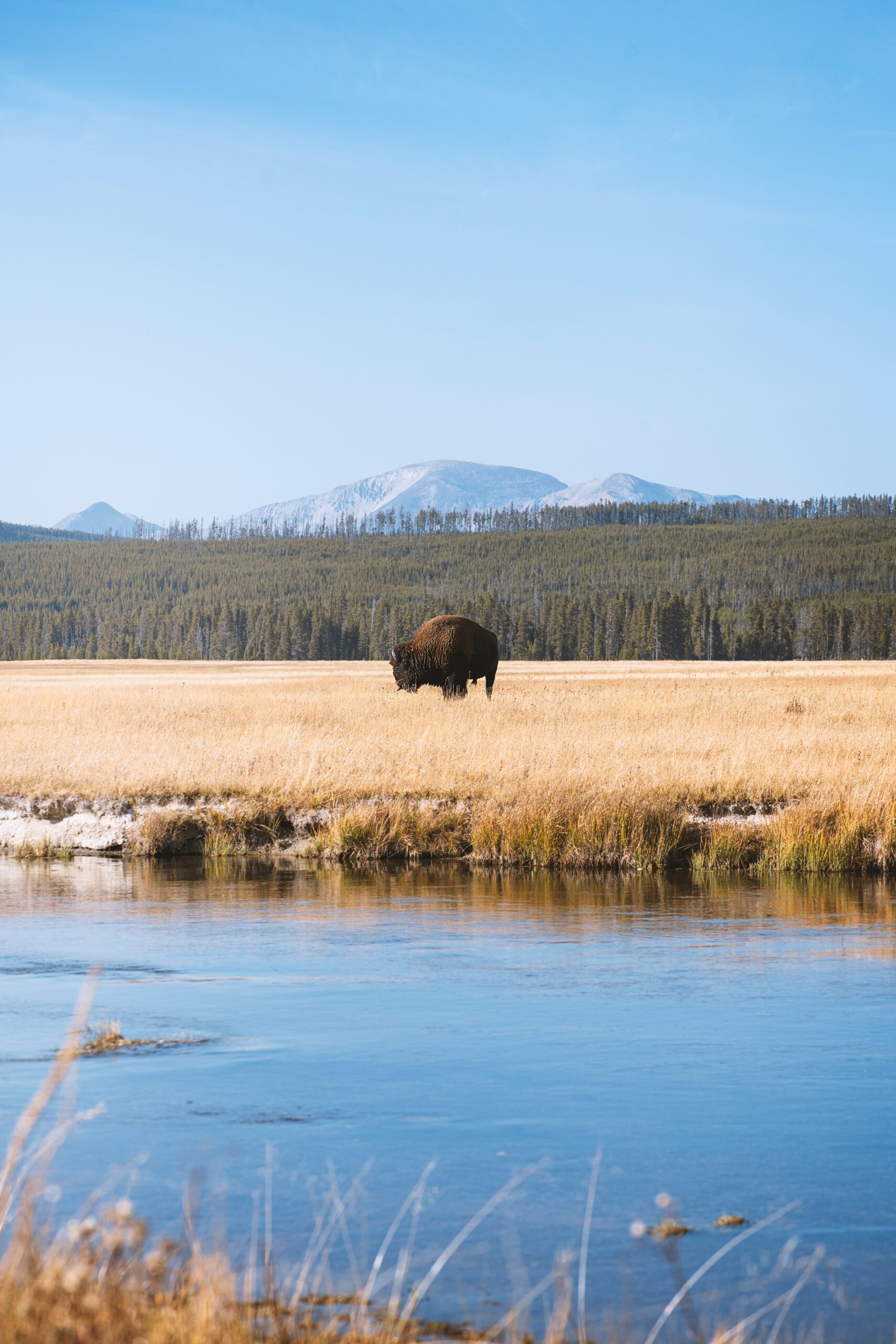 New report shows the oldest US national park is under threat from global heating
