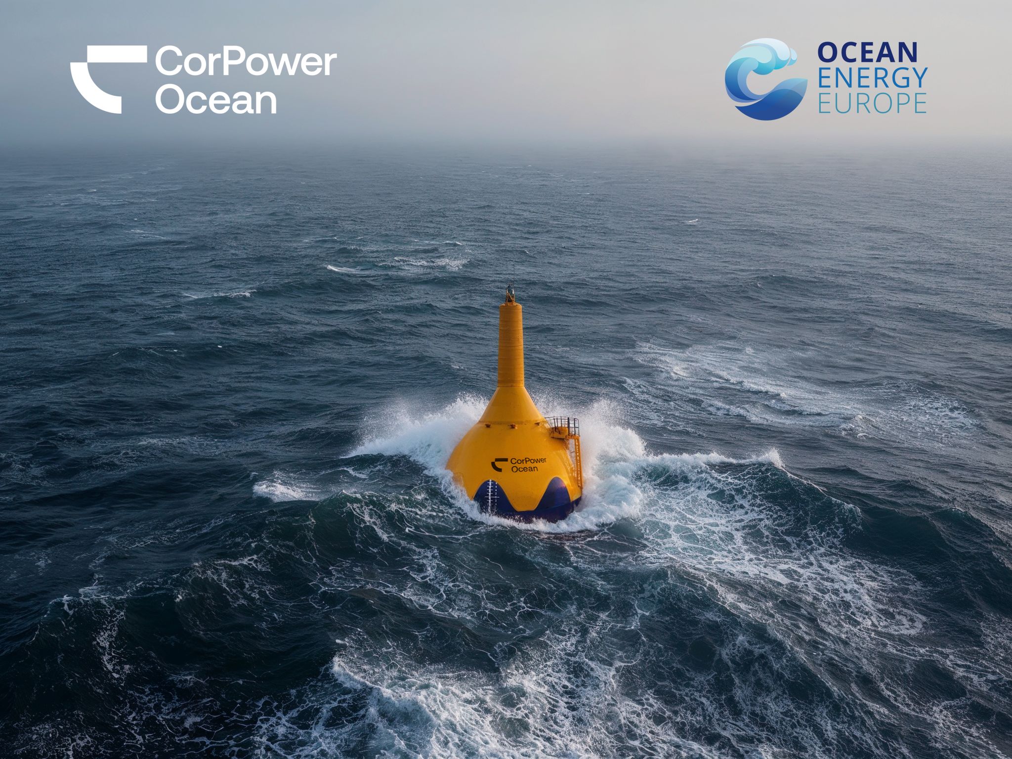 Wave energy trailblazer CorPower Ocean becomes Lead Partner of Ocean Energy Europe